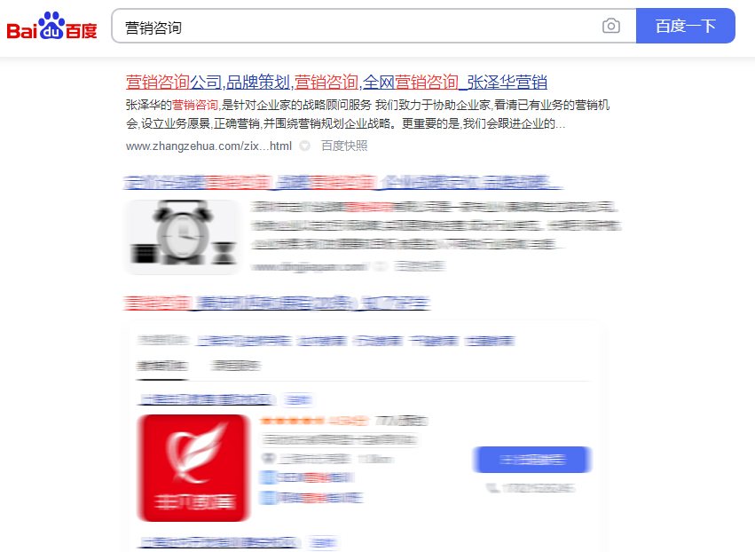 张泽华营销SEO案例展示